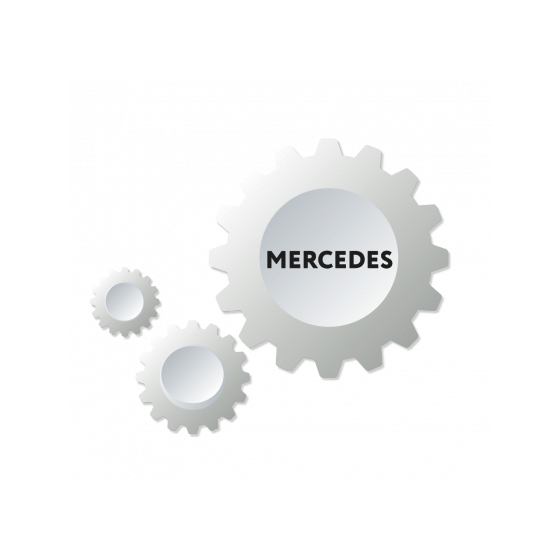  MN031 - DAS Manager for Mercedes-Benz trucks
