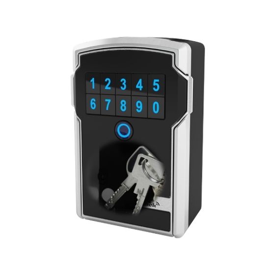 Select Access 5441 key safe