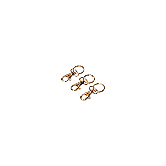 Carabiner gold color
