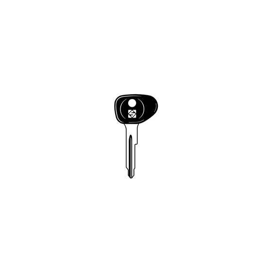 Cycle key with plastic head BW6P for BMW
