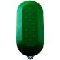 Klappschlüsselgehäuse für FIAT in grün